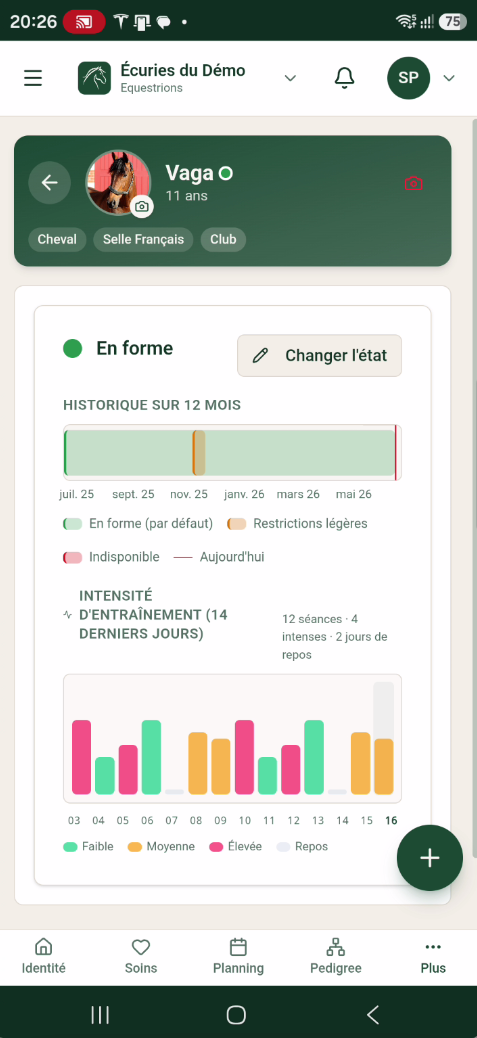 État de forme et intensité d'entraînement d'un cheval